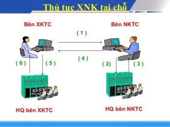 quy trinh xnk tai cho